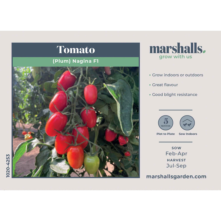 Tomato Seeds 'Plum Nagina' F1