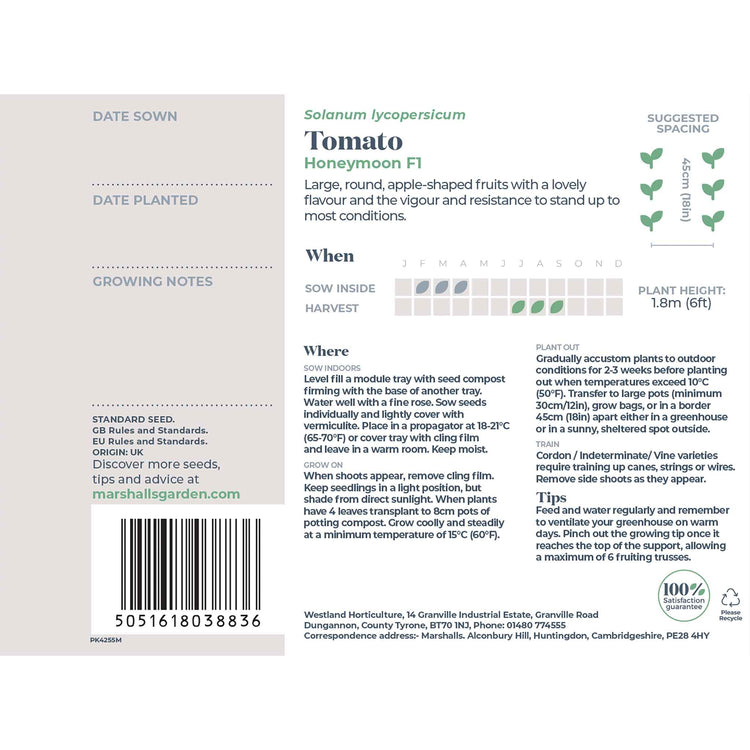 Tomato Seeds 'Salad Honey Moon' F1