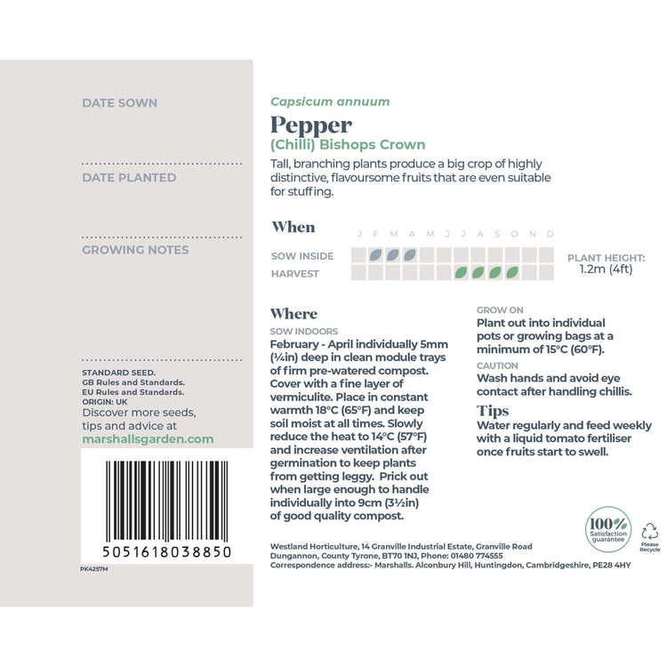 Chilli Pepper Seeds 'Bishops Crown' 