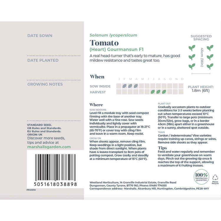 Tomato Seeds 'Gourmansun' F1