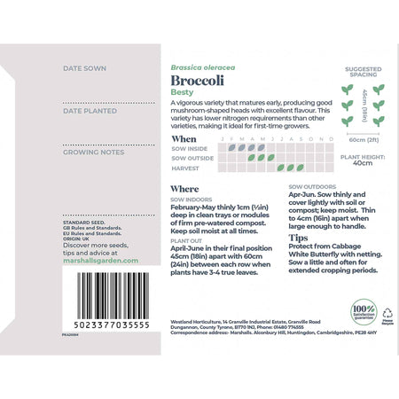 Broccoli Seeds 'Besty'