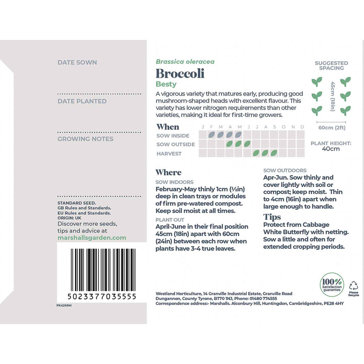 Broccoli Seeds 'Besty'