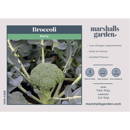Broccoli Seeds 'Besty'