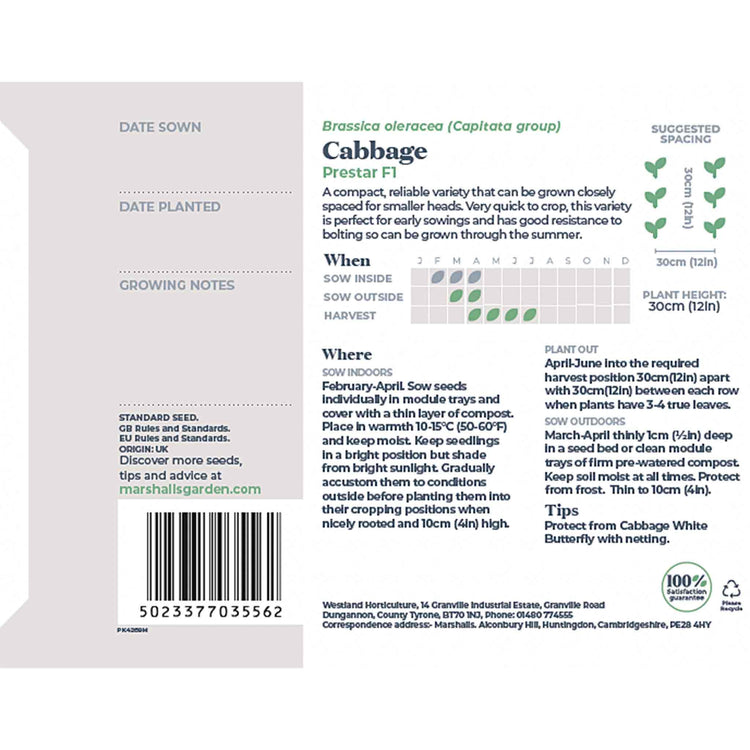 Cabbage Seeds 'Prestar'