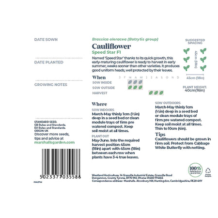 Cauliflower Seeds 'Speed Star'