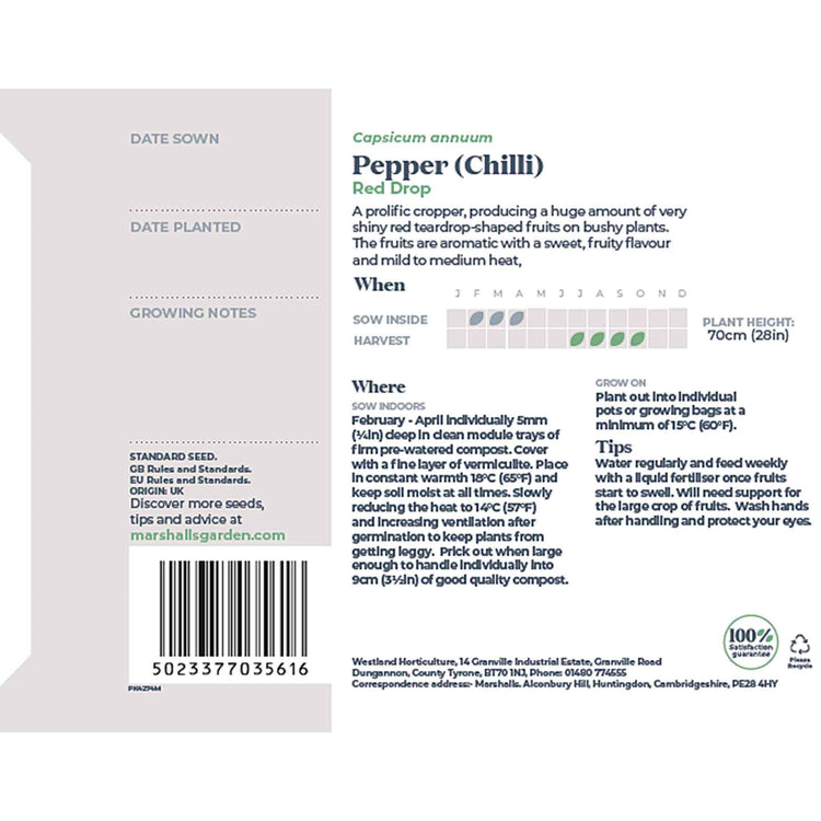 Chilli Seeds 'Red Drop'