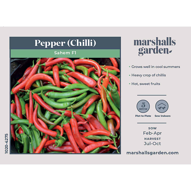 Chilli Seeds 'Sahem'