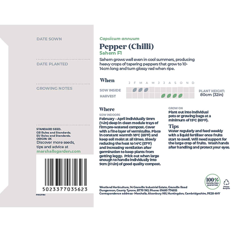 Chilli Seeds 'Sahem'