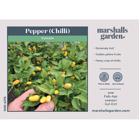 Chilli Seeds 'Vulcain'