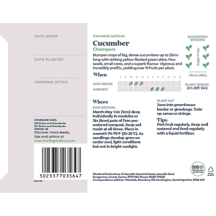 Cucumber Seeds 'Chompers'