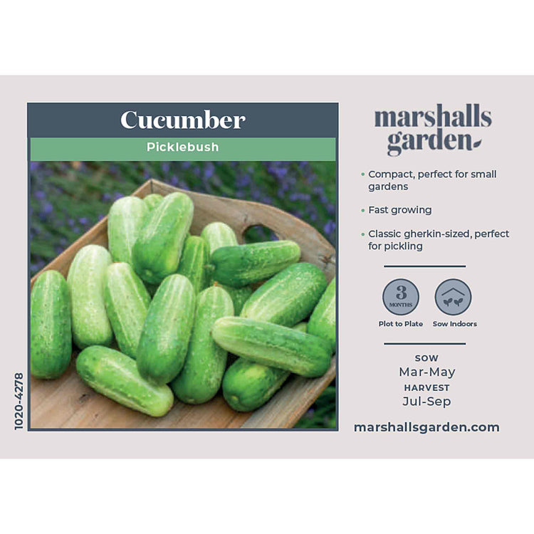 Cucumber Seeds 'Picklebush'