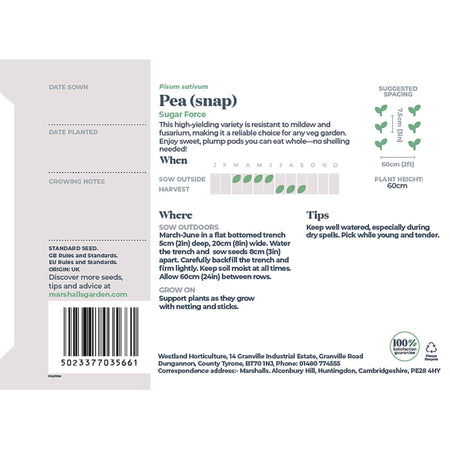 Sugar Snap Pea Seeds 'Sugar Force'