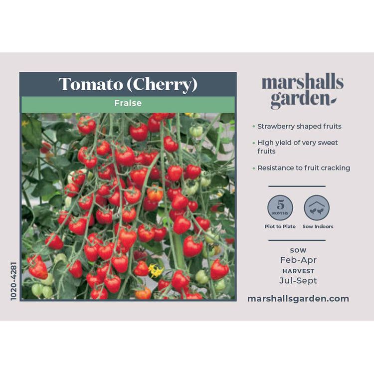 Tomato Seeds 'Fraise'