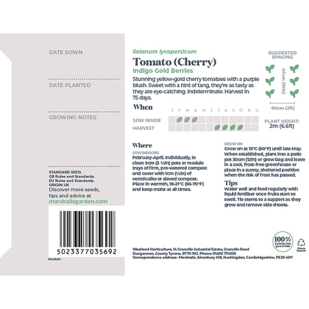 Tomato Seeds 'Gold Berries'