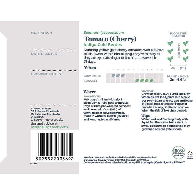 Tomato Seeds 'Gold Berries'