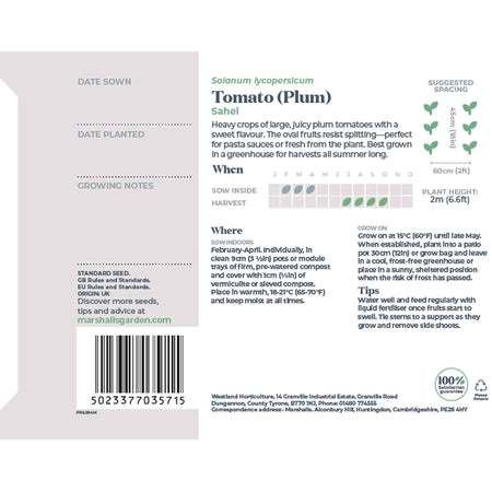 Tomato Seeds 'Sahel'