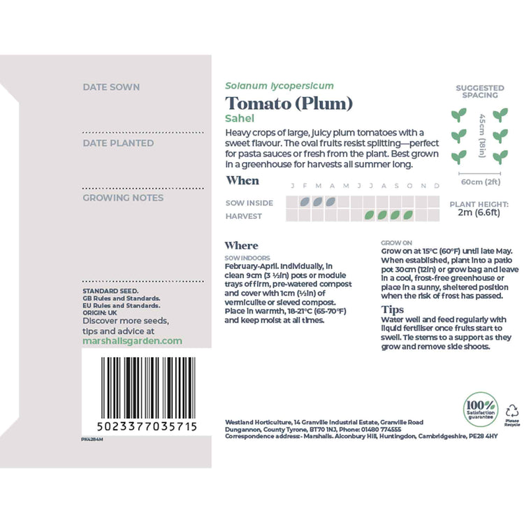 Tomato Seeds 'Sahel'