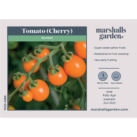 Tomato Seeds 'Sunset'