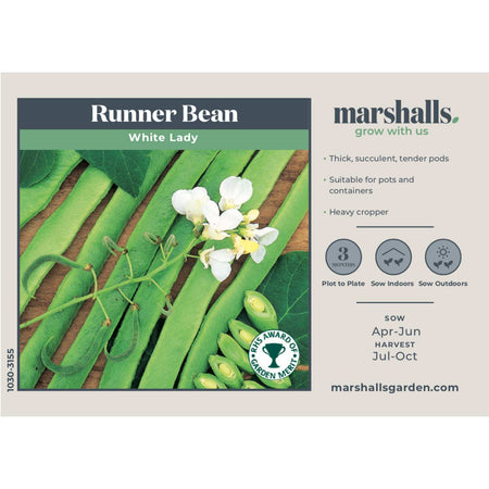 Runner Bean Seeds 'Firestorm' & 'White Lady' Duo