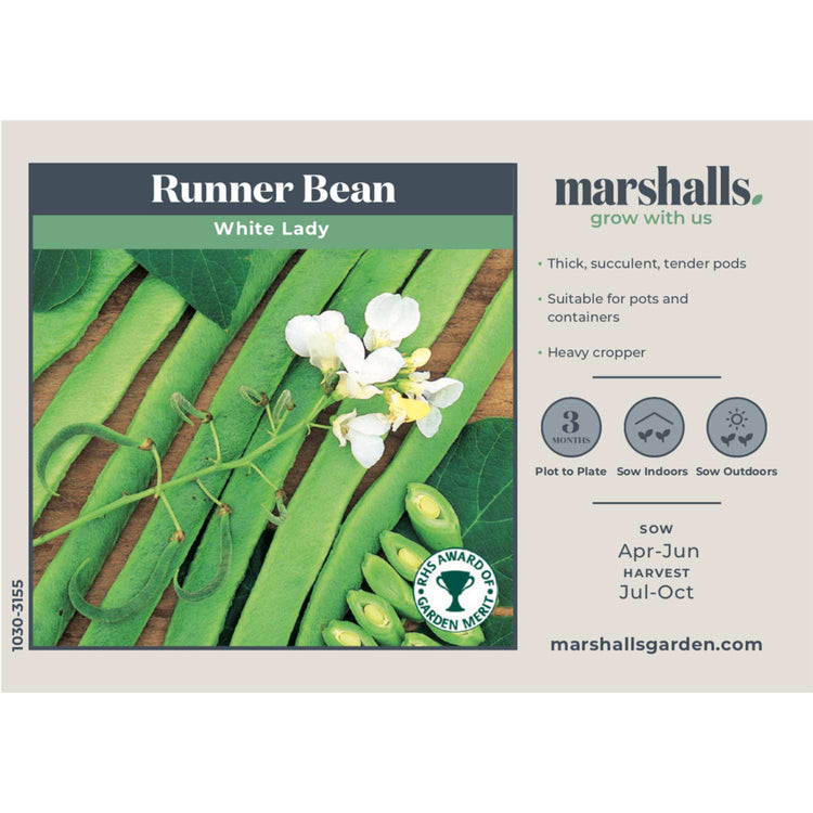 Runner Bean Seeds 'Firestorm' & 'White Lady' Duo