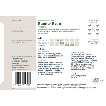 Runner Bean Seeds 'Firestorm' & 'White Lady' Duo