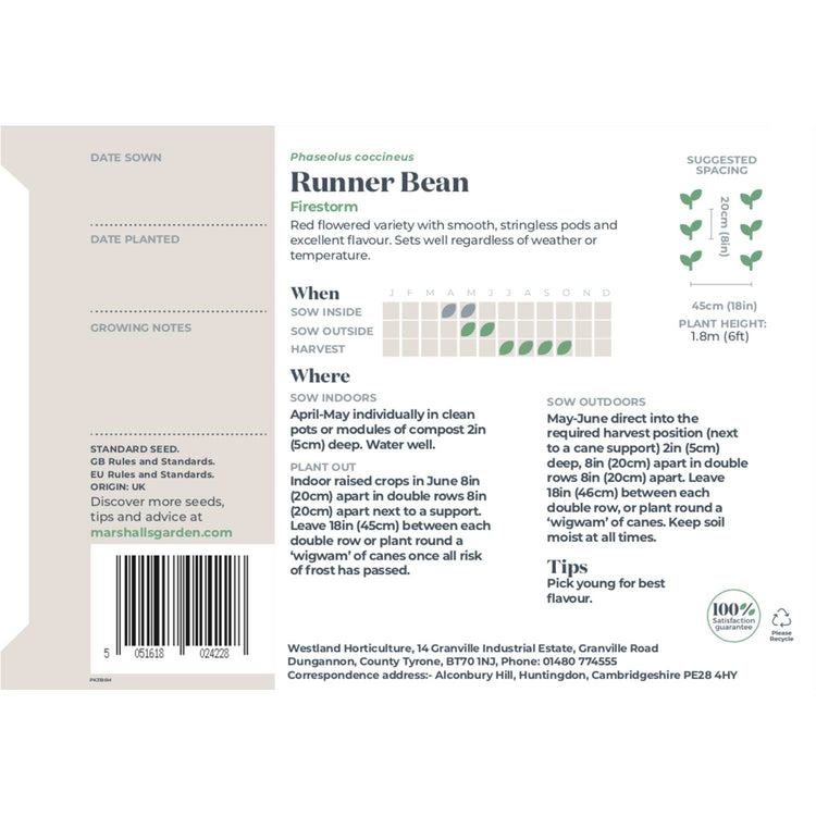 Runner Bean Seeds 'Firestorm' & 'White Lady' Duo
