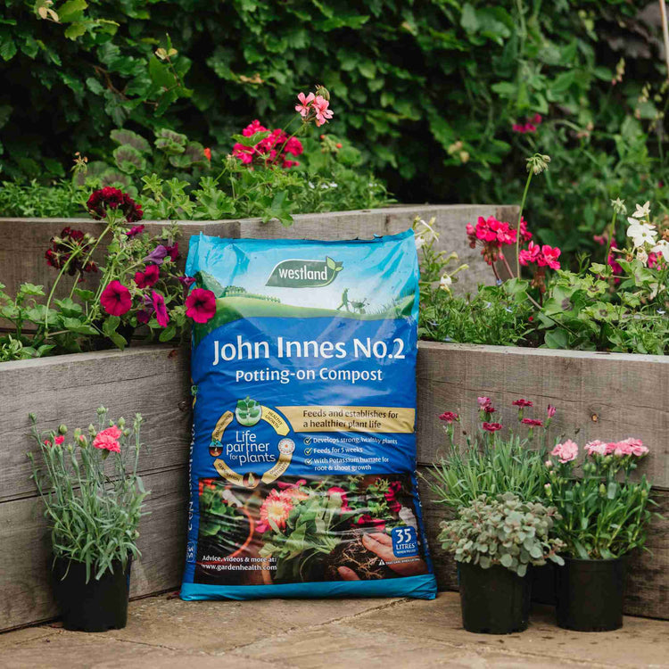 john innes potting mix John Innes Peat Free No.2 Potting on Compost