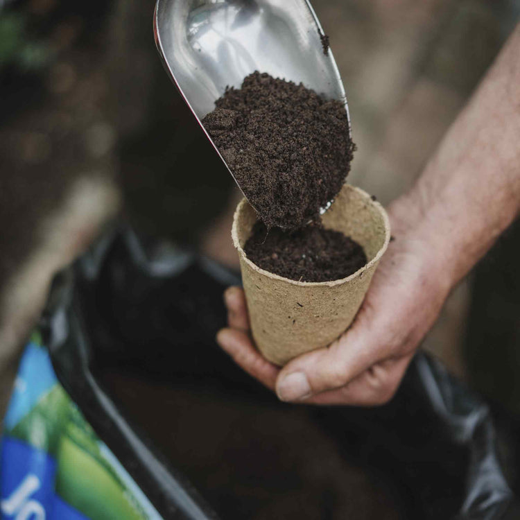 john innes potting mix John Innes Peat Free No.2 Potting on Compost