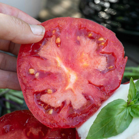 Tomato Seeds 'Buffalo Steak'