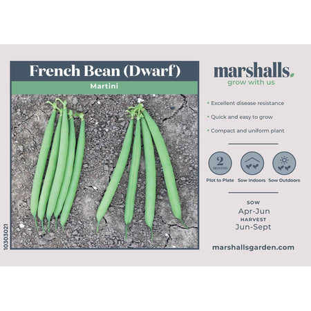 French Bean Seeds 'Martini'