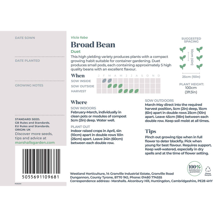 Broad Bean Seeds 'Duet'