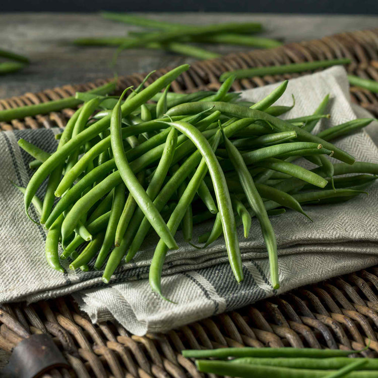 French Bean Climbing Seeds 'Monte Cristo'