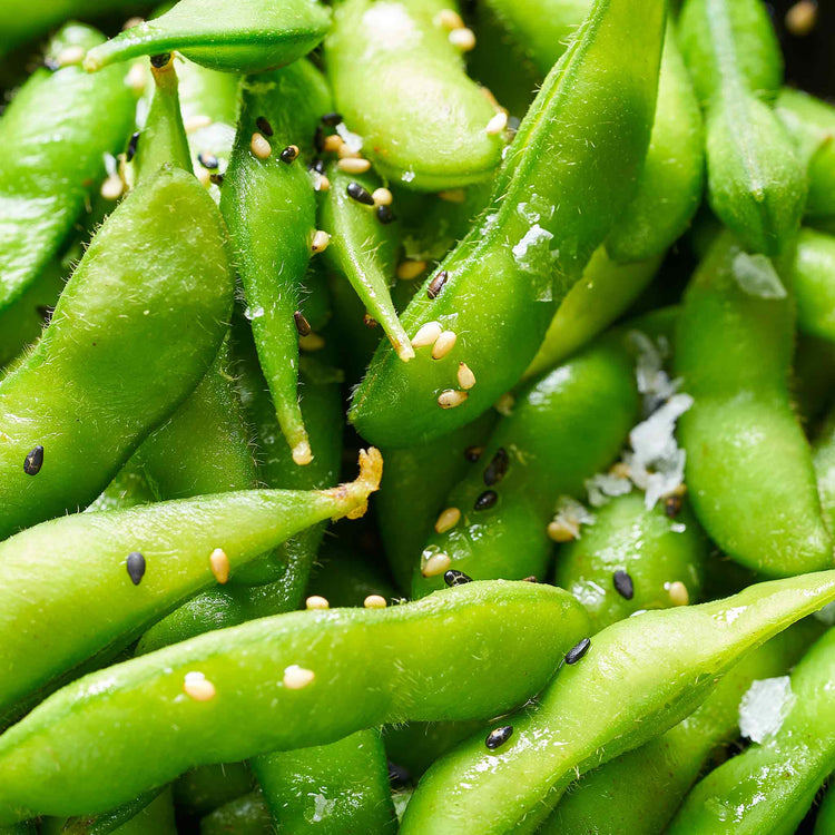 Edamame (Soya) Bean Seeds 'Summer Shell'