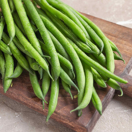 French Bean Dwarf Seeds Duo Pack