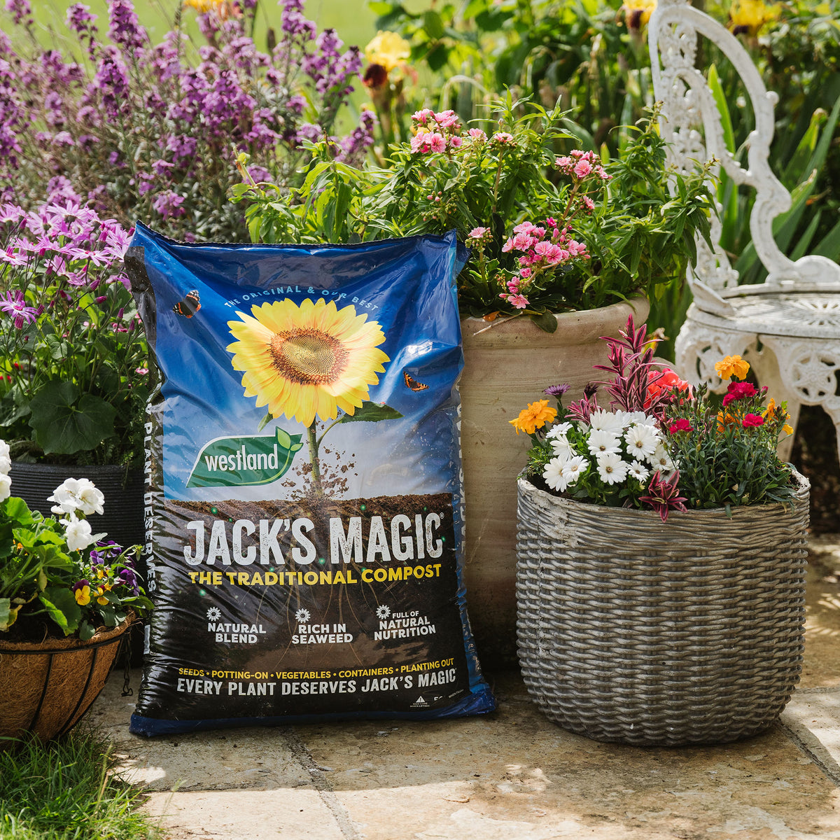 Jack's Magic All-Purpose Compost | Marshalls Garden