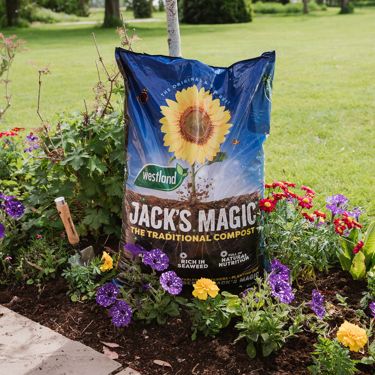 Pure Magic Compost Jack's Magic All-Purpose Compost | Marshalls Garden