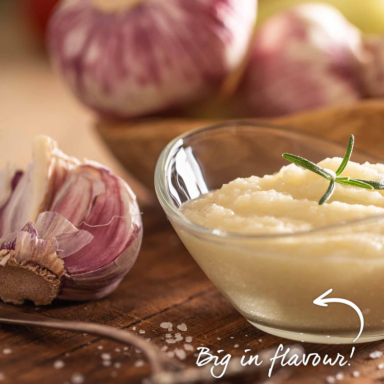 Pre-Rooted Garlic 'Blushing Beauty'