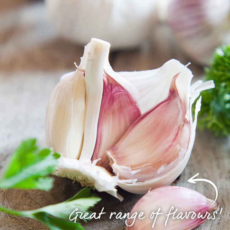 Garlic Cloves 'Wight' Duo Pack