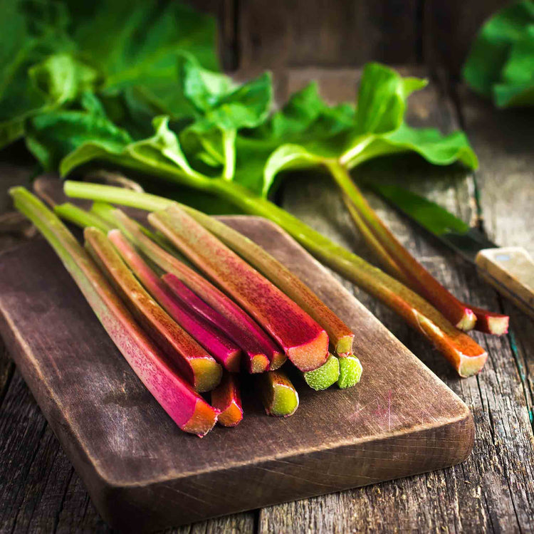 Rhubarb Plant Collection