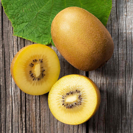 Kiwi Plant 'Golden'