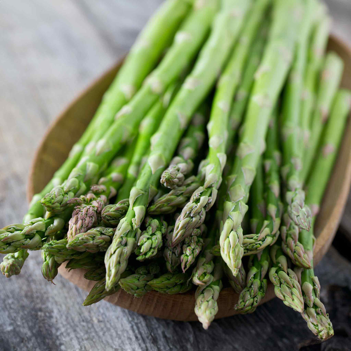 Asparagus 'Mondeo' 10 Crowns Buy Asparagus Crowns Online