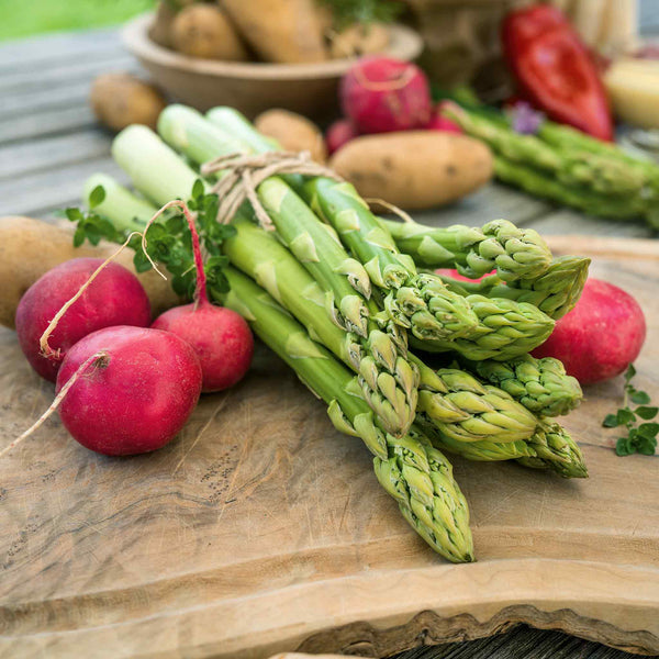 Asparagus Crown 'Aspalim'