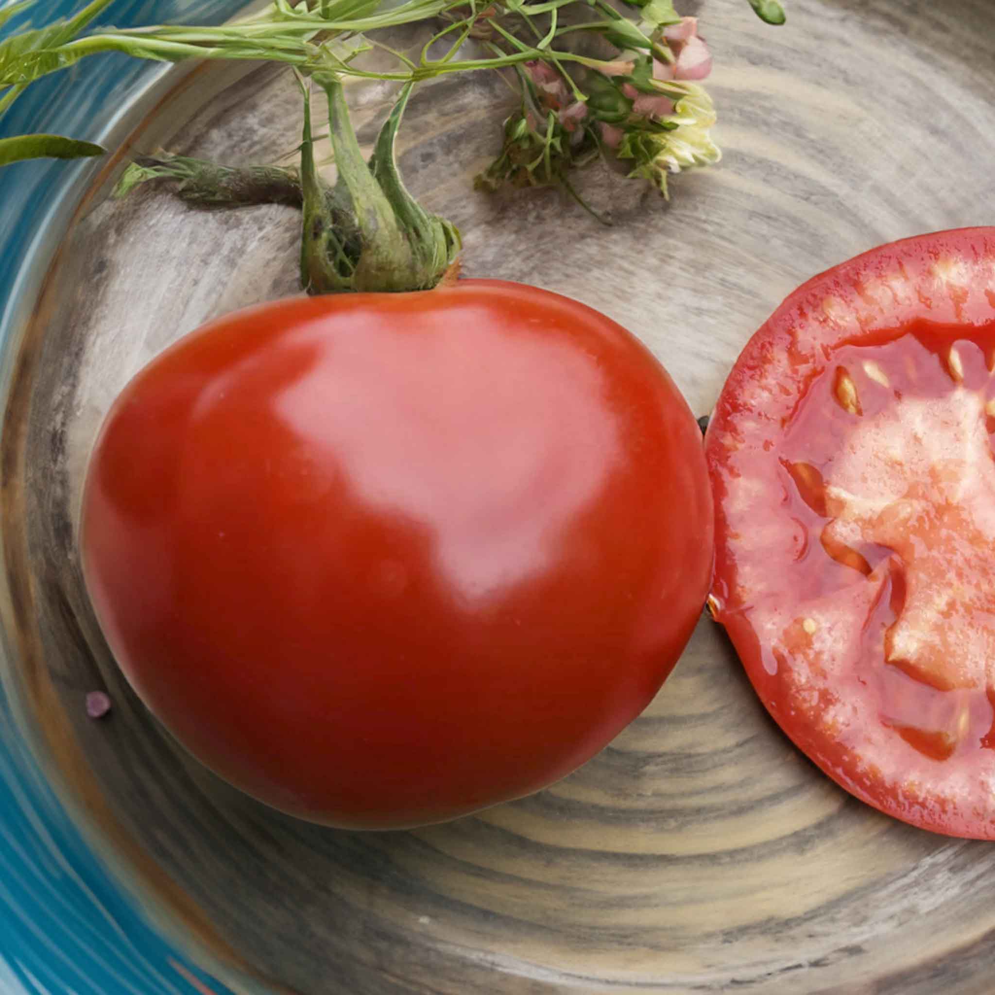 Bella Rondo Grafted Cordon Tomato Plant 'Rondobella' | Marshalls Garden