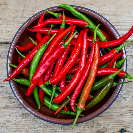 Chilli Plant Collection 'Balcony'