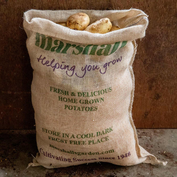 Hessian Potato Grow Sack