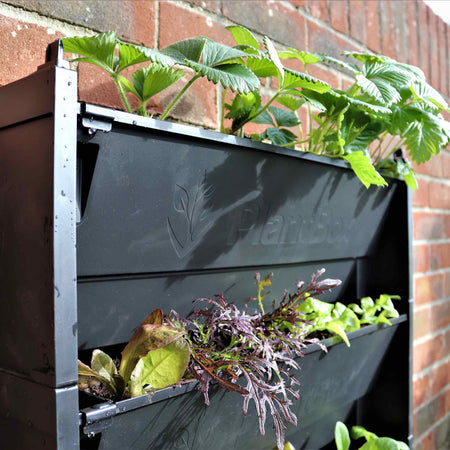 PlantBox Vertical Wall Planters
