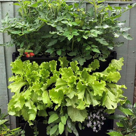 PlantBox Vertical Wall Planters