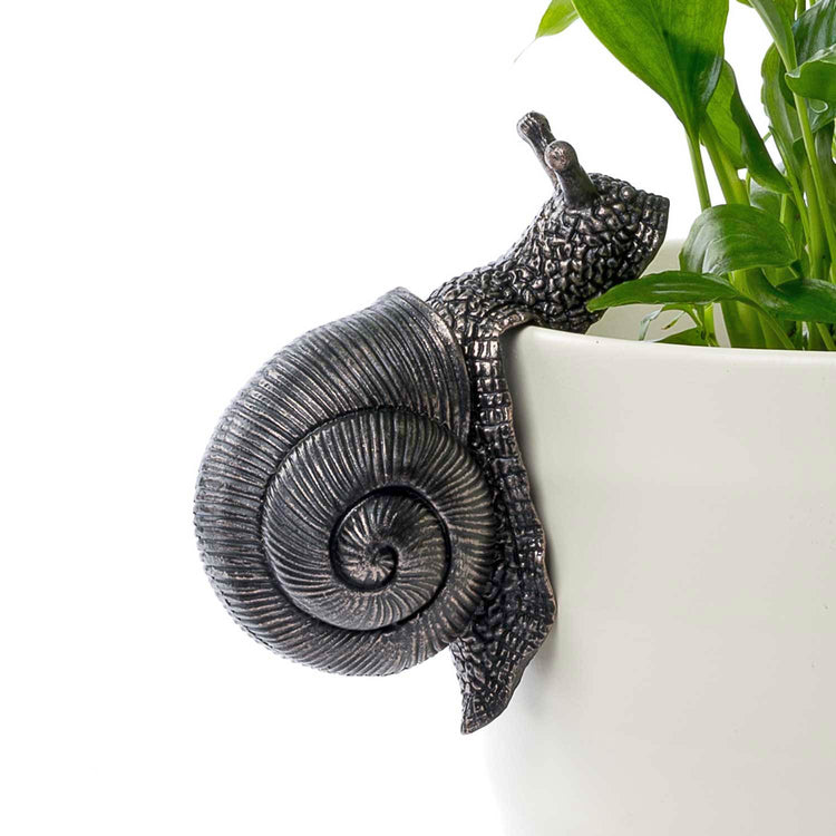 Snail Pot Buddy