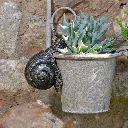 Snail Pot Buddy