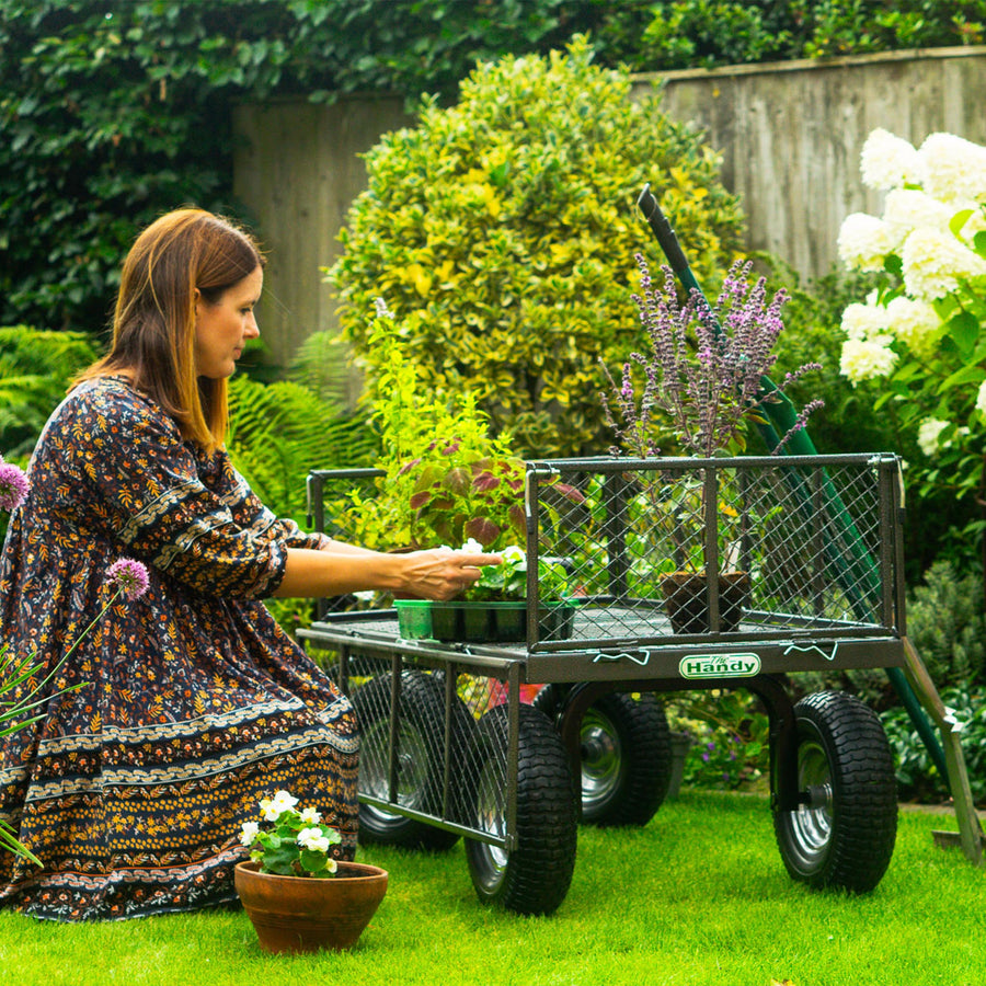 The Handy Garden Trolley | Buy Garden Trolley Online | Garden Trolley ...